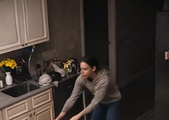 Kada je muž instalirao kameru, istina ga je zaledila: pas nije napadao — sprečavao je ono najgore