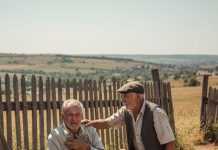Trideset godina tišine zbog pola metra zemlje: Priča o komšijama, ponosu i kasnom pomirenju