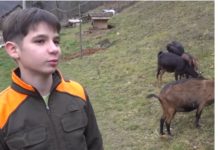 Dječak iz Priboja svaki dan putuje 30 kilometara kako bi pomogao baki i čuvao koze