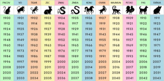 NIJE NI ČUDO ŠTO JE NAJTAČNIJI: Saznajte šta ste u kineskom horoskopu i šta vam poručuje