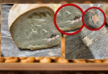 Šapčanin kupio hleb u prodavnici, a od onoga što je našao u vekni PREVRNUĆE VAM SE ŽELUDAC: Prizor nije za gadljive