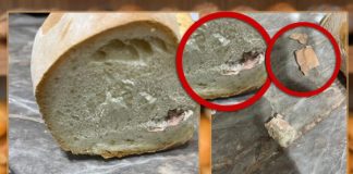 Šapčanin kupio hleb u prodavnici, a od onoga što je našao u vekni PREVRNUĆE VAM SE ŽELUDAC: Prizor nije za gadljive