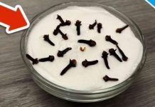 SVI ME PITAJU ZAŠTO U MOJOJ KUĆI TAKO LIJEPO MIRIŠE: Ovo je trik koji koristim, samo 2 sastojka – A KUĆA MIRIŠE DANIMA