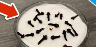 SVI ME PITAJU ZAŠTO U MOJOJ KUĆI TAKO LIJEPO MIRIŠE: Ovo je trik koji koristim, samo 2 sastojka – A KUĆA MIRIŠE DANIMA