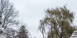 Tajna mog brata koju je otkrilo dijete na groblju