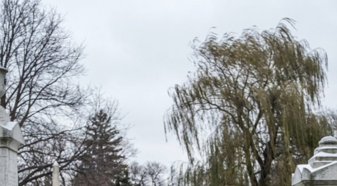 Tajna mog brata koju je otkrilo dijete na groblju