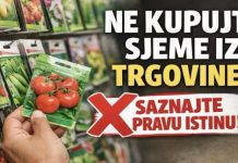 NE KUPUJTE sjeme u trgovinama dok ne saznate OVO! ⛔ Prava istina o šarenim vrećicama.
