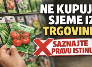 NE KUPUJTE sjeme u trgovinama dok ne saznate OVO! ⛔ Prava istina o šarenim vrećicama.