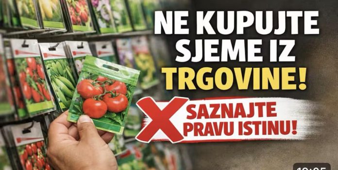NE KUPUJTE sjeme u trgovinama dok ne saznate OVO! ⛔ Prava istina o šarenim vrećicama.