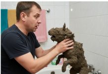 Mislio je da je spasio malog psa! Ali nakon pranja, umirio se kad je vidio šta je to……….. 😲😲