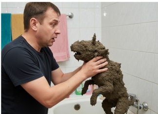 Mislio je da je spasio malog psa! Ali nakon pranja, umirio se kad je vidio šta je to……….. 😲😲