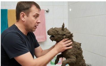 Mislio je da je spasio malog psa! Ali nakon pranja, umirio se kad je vidio šta je to……….. 😲😲