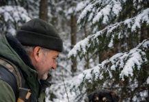 Kad šuma zaplače: mali čuvar i tajna starog džaka