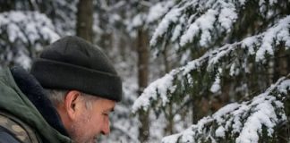 Kad šuma zaplače: mali čuvar i tajna starog džaka