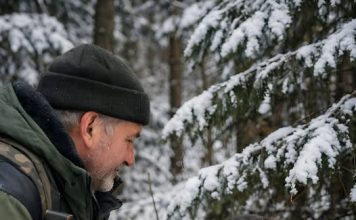 Kad šuma zaplače: mali čuvar i tajna starog džaka