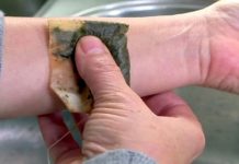 NEMOJTE bacati kesice od caja. Umjesto toga uradite OVE stvari