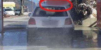 Kako se u Dalmaciji peru auti: Prizor iz autopraonice nasmijao društvene mreže