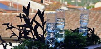 Zašto se plastične boce sve češće viđaju na balkonima? Razlog je vrlo praktičan