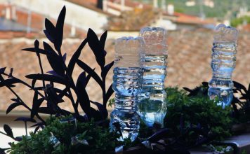 Zašto se plastične boce sve češće viđaju na balkonima? Razlog je vrlo praktičan