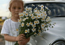Prišla je svadbenim kolima mala djevojčica s buketom kamilica … Ali mlada slučajno primeti jednu ČUDNU DETALJU u njenoj kosi i nije mogla da veruje svojim očima… 😲😲😲