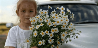 Prišla je svadbenim kolima mala djevojčica s buketom kamilica … Ali mlada slučajno primeti jednu ČUDNU DETALJU u njenoj kosi i nije mogla da veruje svojim očima… 😲😲😲