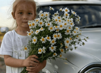 Prišla je svadbenim kolima mala djevojčica s buketom kamilica … Ali mlada slučajno primeti jednu ČUDNU DETALJU u njenoj kosi i nije mogla da veruje svojim očima… 😲😲😲