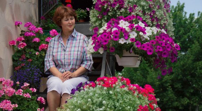 U aprilu počinje pravo proleće u dvorištu: Posadite ovo cveće i cvetaće mesecima