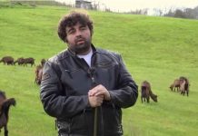 3 dece i 1.800 koza: Zavirite na seosko imanje Branka Jankovića i njegove supruge, takođe glumice FOTO