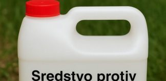 Kako Napraviti Efikasan Prirodni Herbicid za Vašu Baštu i Prirodno se Riješiti Korova