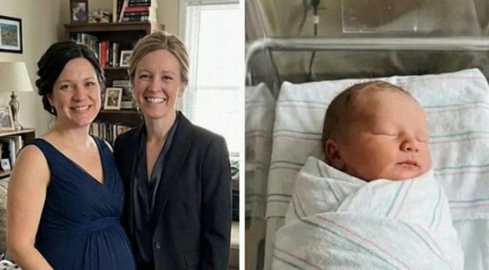 Surogat majčinstvo i istina koja je promijenila sve