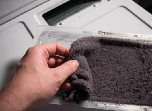 Prije nego što ga bacite, saznajte kako iskoristiti vlakna iz sušilice u vrtu.