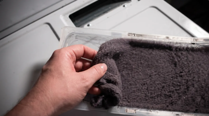 Prije nego što ga bacite, saznajte kako iskoristiti vlakna iz sušilice u vrtu.