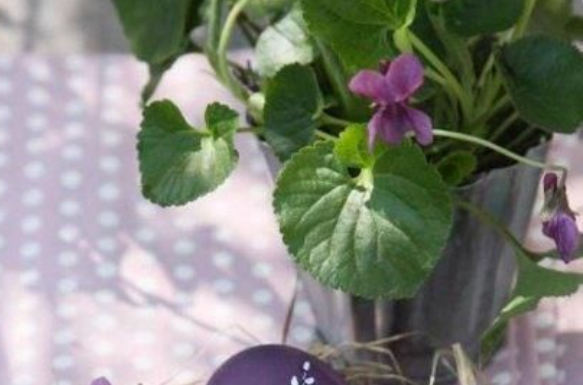 Zašto se za Uskrs farbaju jaja u LJUBIČASTO? Ove prirodne namirnice daju savršene nijanse – od lila do patlidžan boje