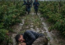 Išao sam da berem maline da skupim novac za majčinu operaciju – a tog dana sam skoro ostao bez svega