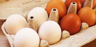 Ove namirnice nikada ne podgrijavajte jer postaju TOKSIČNE!