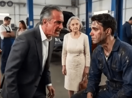 Popravio je auto starice besplatno i dobio otkaz… ali nekoliko dana kasnije saznao je tko je ona zapravo
