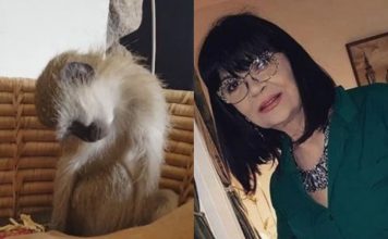 Nada Obrić živela sa majmunom, hranila ga, sa sobom vodila: Nije ni slutila šta će je te večeri snaći u podrumu – igrala se sa đav0lom, koštao je života