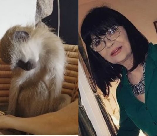 Nada Obrić živela sa majmunom, hranila ga, sa sobom vodila: Nije ni slutila šta će je te večeri snaći u podrumu – igrala se sa đav0lom, koštao je života