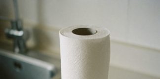 Ljudi masovno ubacuju list ubrusa u zamrzivač: Neverovatno je zašto to rade!