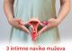 Kako zajedničke navike partnera utiču na intimno zdravlje Kako zajedničke navike partnera utiču na intimno zdravlje - featured image