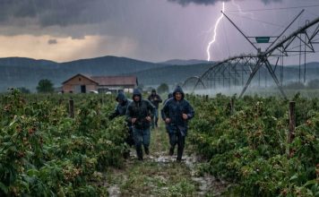 Radio sam u malinjaku da spasem majku: dan kada sam shvatio koliko život može biti nepredvidiv