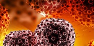 3 simptoma metastaze raka koji se javljaju rano ujutru: 0VAJ ZNAK JE crveni alaram, a svi ga zanemare … 3 simptoma metastaze raka koji se javljaju rano ujutru: 0VAJ ZNAK JE crveni alaram, a svi ga zanemare … - featured image