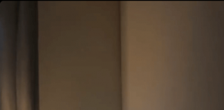 Naš pas je nepomično gledao u zid u spavaćoj sobi i stalno lajao, ne dopuštajući nam da spavamo: morali smo pozvati majstora da sruši zid. 😱😱