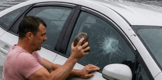 Spasio sam psa iz automobila koji je tonuo, razbivši staklo, dok je vozač mirno ušao u prodavnicu i ostavio ga pored reke… ali umesto zahvalnosti, tužili su me zbog oštećenja imovine.