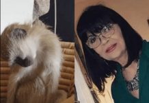 Nada Obrić živela sa majmunom, hranila ga, sa sobom vodila: Nije ni slutila šta će je te večeri snaći u podrumu