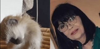 Nada Obrić živela sa majmunom, hranila ga, sa sobom vodila: Nije ni slutila šta će je te večeri snaći u podrumu