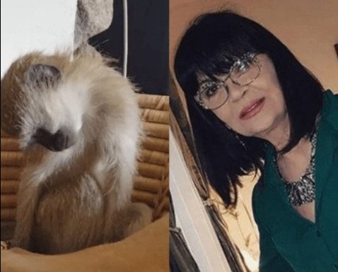 Nada Obrić živela sa majmunom, hranila ga, sa sobom vodila: Nije ni slutila šta će je te večeri snaći u podrumu