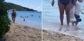 Snimak sa plaže koji ljudi gledaju po 10 puta zaredom: “Možete da kažete šta hoćete, ali ja joj skidam kapu” Snimak sa plaže koji ljudi gledaju po 10 puta zaredom: “Možete da kažete šta hoćete, ali ja joj skidam kapu” - featured image