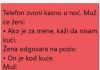 VIC DANA: ŽENA I POZIV… VIC DANA: ŽENA I POZIV… - featured image