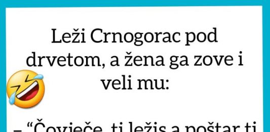 VIC DANA: Crnogorac i penzija VIC DANA: Crnogorac i penzija - featured image
